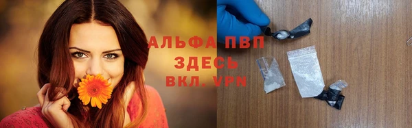 индика Майский