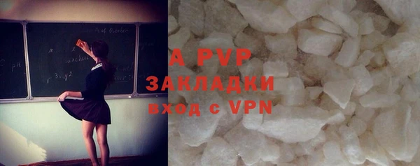 индика Майский
