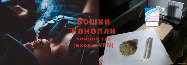 индика Майский
