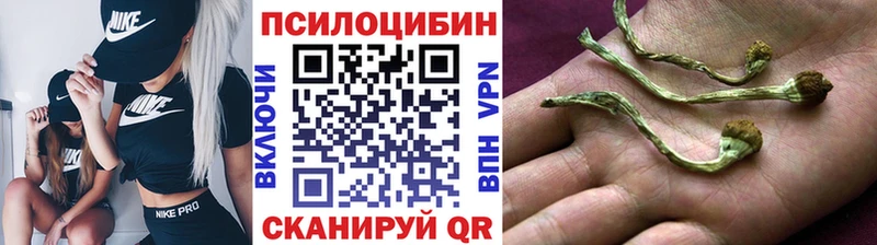 Галлюциногенные грибы прущие грибы Сусуман