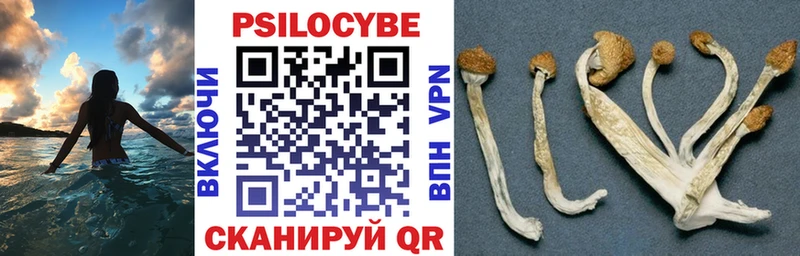 Галлюциногенные грибы мухоморы  kraken ТОР  Сусуман 